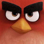 Angry Birds YT Movie Icon