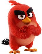 The Angry Birds Movie