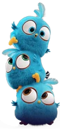 앵그리버드 더 무비 Angry Birds Blues