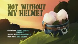 NotWithoutMyHelmet