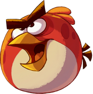 Red, Angry Birds Epic RPG Wiki