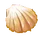 Seashell