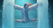 Steve (Eagle)