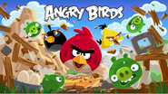 Angry birds 2010