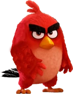 The Angry Birds Movie