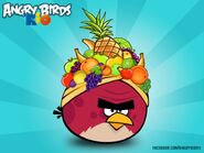 Angry birds