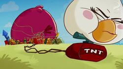 Nighty Night Terence, angry Birds Toonsgardening With Terence S1