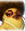 Gloria