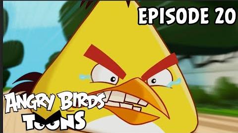 Angry Birds Toons Run Chuck Run - S1 Ep20