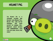 Info about the Helmet Pig (Corporal Pig)