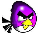 Purple Bird