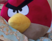 Grandpa Red Angry Bird