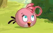 The real pink bird