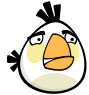 White Bird.png