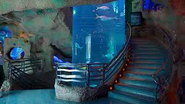 The aquarium.