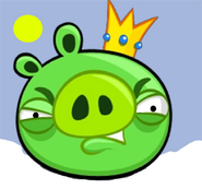 Old Angry Pigs Promo (2015 - 2016)
