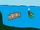 Angry Birds Water