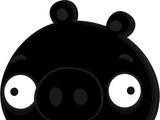 Black Pig
