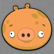 Orange Pig