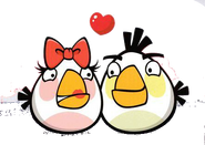 Angrybirdsvalkeatlinnut