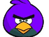 Purple Bird (BoltznNutz)