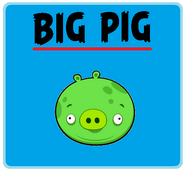 Big pig