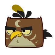 Hammer Bird