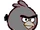 Armor Bird