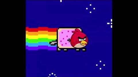 Angry Birds Nyan Cat