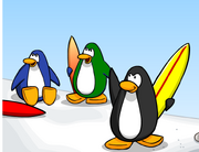 Blue penguins 3