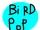 Birdpop