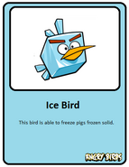 Ice-card