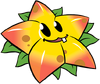 Starfruit