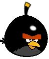 Big Brother Black Bird.jpg