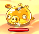 Cerdo dorado