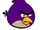 Purple Bird (Angry Birds Infinity)