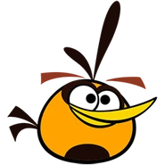 Orangebird4.png (22 kB)