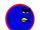 Blue Berry Terence