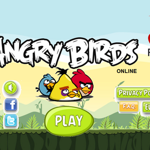 Birds Birds