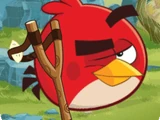 Angry Birds: Defend our Eggs!