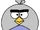 Alex Bird