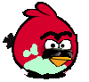 BackupBird