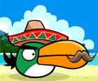 Boomerang bird mexican