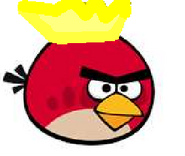 King Red bird