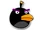 Black Boomerang Bird