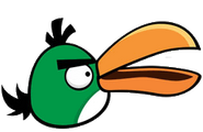 Boomerangbird