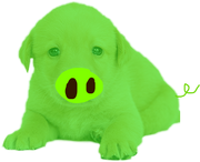 Puppig