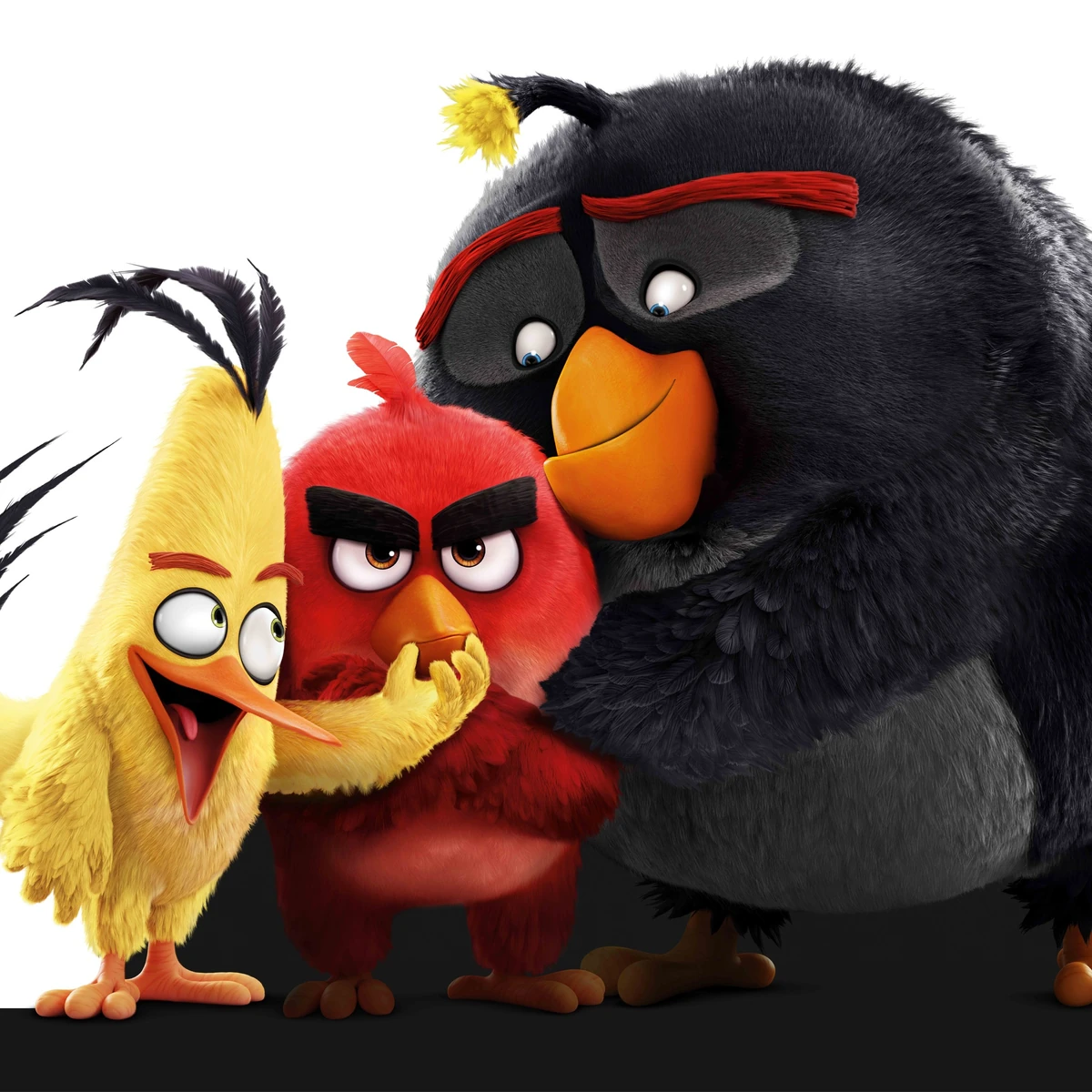 The angry birds movielive adventure! Angry Birds Fan Fiction Wiki