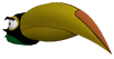 Hal in Go.png