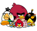 Birds.png